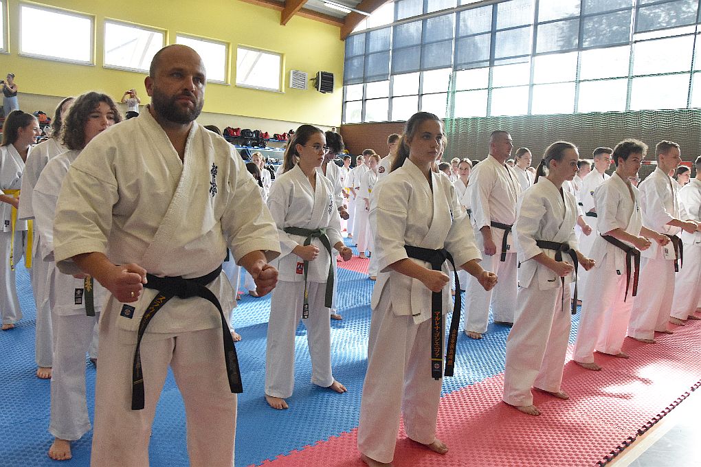 mistrzostwa karate