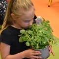 „Ogródek ze smakiem” powstał przy Przedszkolu w Bełku (5)