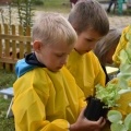 „Ogródek ze smakiem” powstał przy Przedszkolu w Bełku (6)