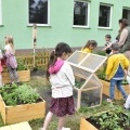 „Ogródek ze smakiem” powstał przy Przedszkolu w Bełku (2)