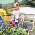 „Ogródek ze smakiem” powstał przy Przedszkolu w Bełku (3)