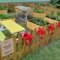 „Ogródek ze smakiem” powstał przy Przedszkolu w Bełku (11)