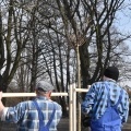 Przedwiosenne nasadzenia drzew i prace porządkowe (8)